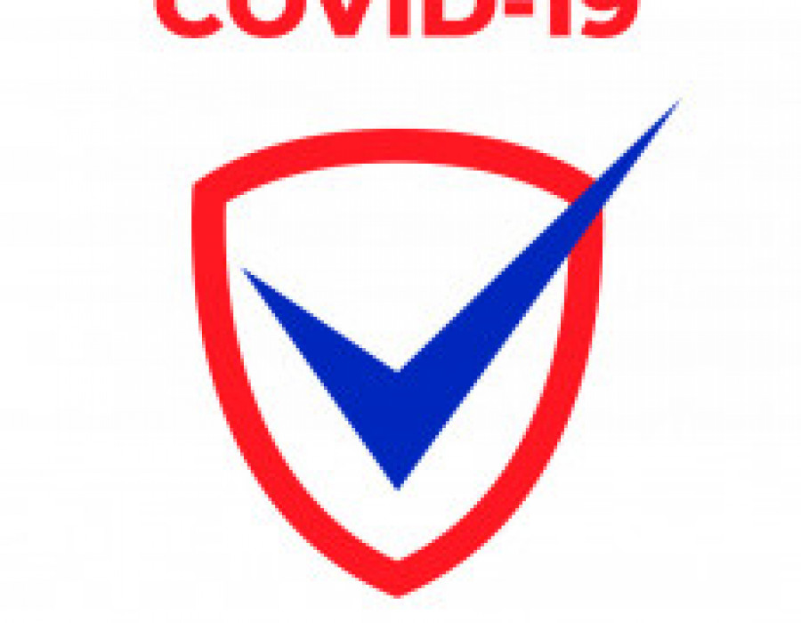 Logo covid 35193