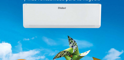 Promociones vaillant 34992