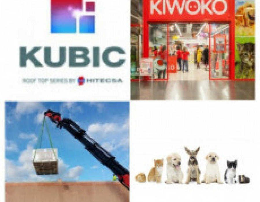 Kiwoco hitecsa 31629
