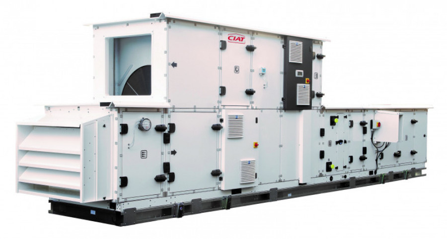 Climaciat 30312