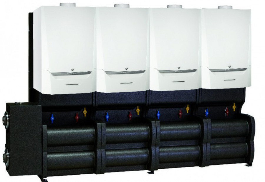Evodens pro 28934