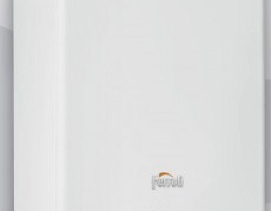 Ferroli bluehelix 27282