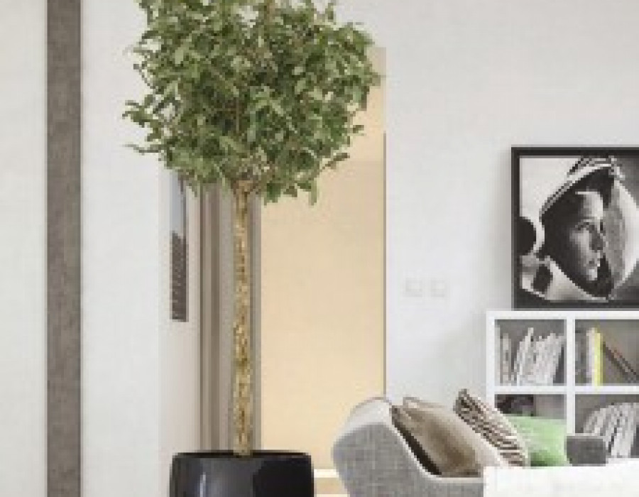 Aldes inspirair 25111