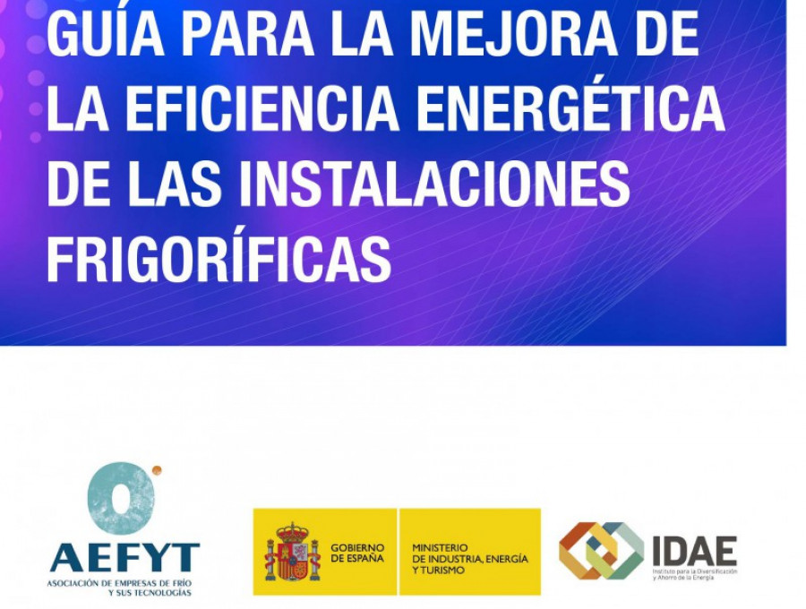 Aefyt guia eficiencia 21694