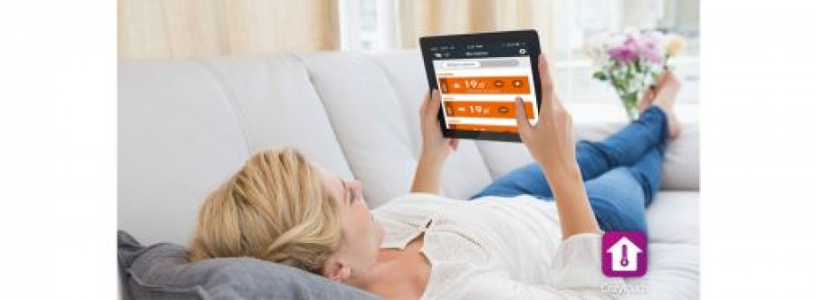 Thermor cozytouch app ambiente 19106