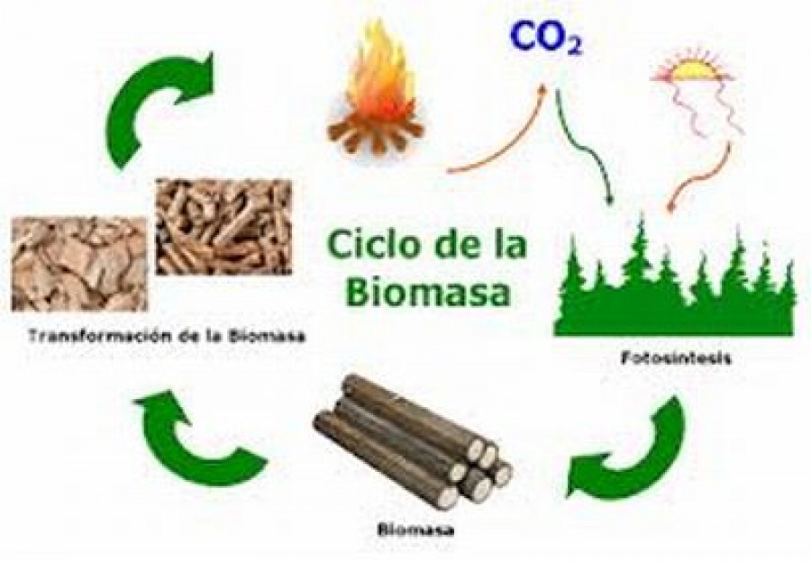 Biomasa ok b 18330