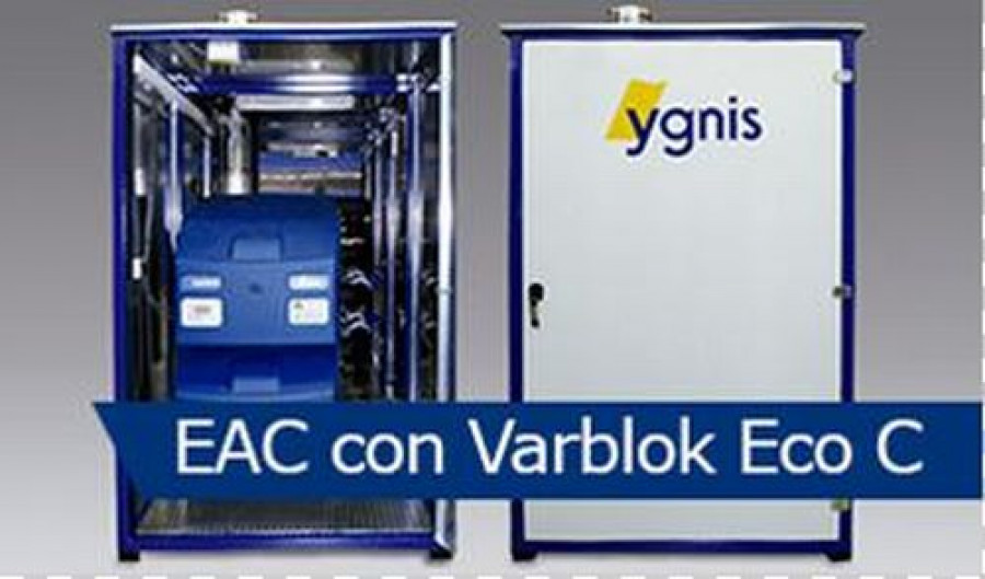 Ygnis b 18316