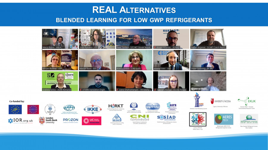 Real Alternatives