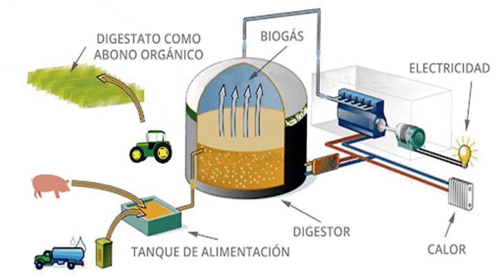 Gases renovables fegeca 3