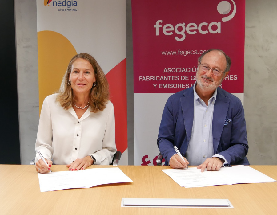 Fegeca Nedgia
