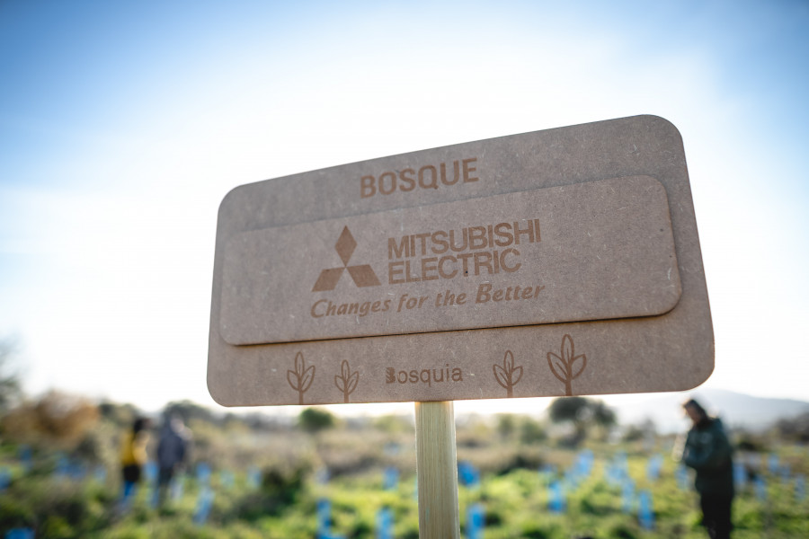 Mitsubishi bosques