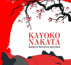 Mitsubishi flamenco